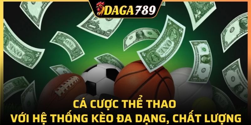 Cá cược thể thao với hệ thống kèo đa dạng, chất lượng