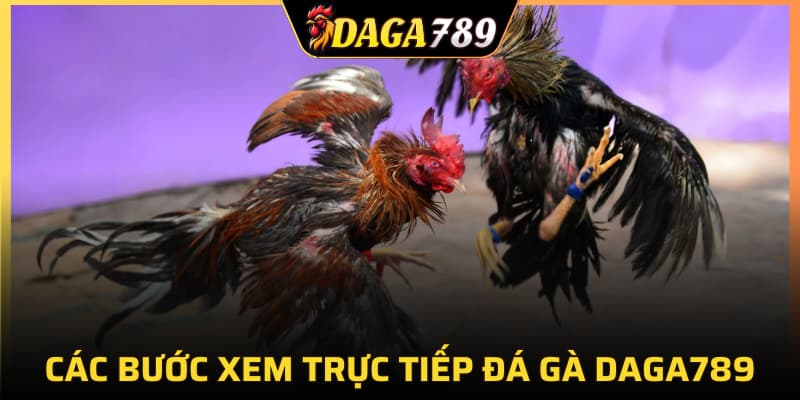 Các bước xem trực tiếp đá gà chuẩn xác tại DAGA789