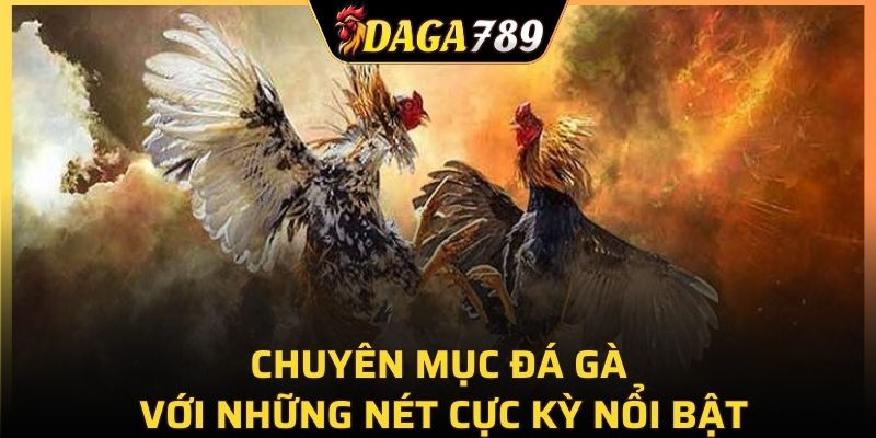 Chuyên mục đá gà với những nét cực kỳ nổi bật