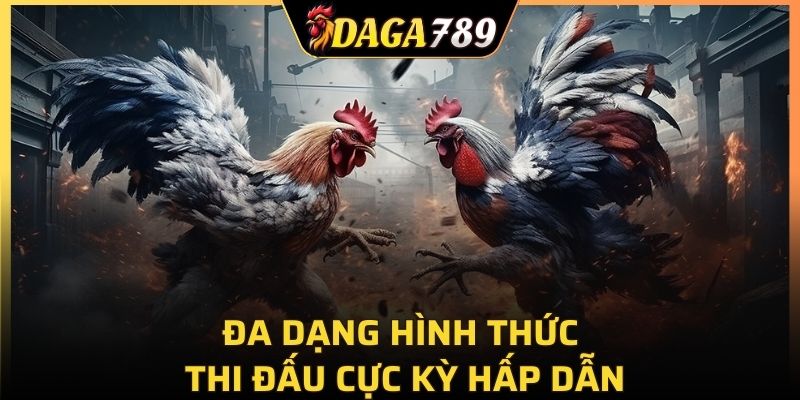 Đa dạng hình thức thi đấu cực kỳ hấp dẫn