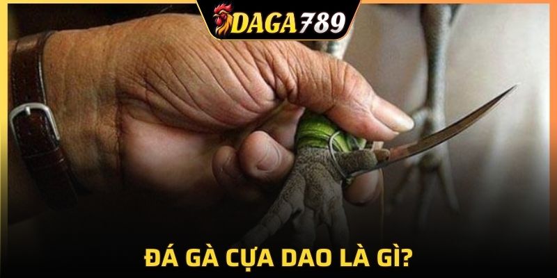 Cựa dao có nhiều ưu điểm giúp trận gà giải trí hơn hẳn