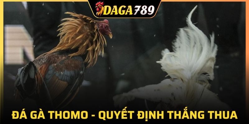 Chiến kê nào giành chiến thắng sẽ duy trì sự thống trị tới cuối trận
