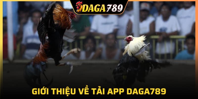Giới thiệu về tải app DAGA789