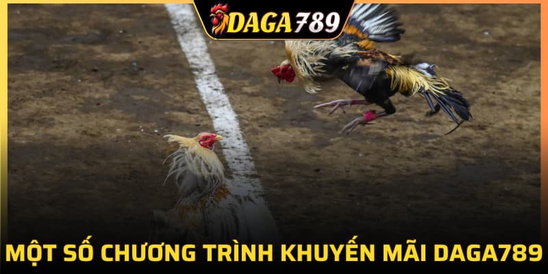 Một số chương trình khuyến mãi DAGA789 hot