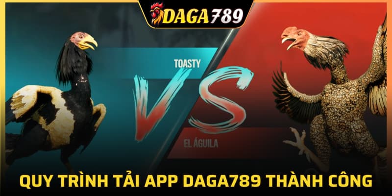 Quy trình tải app DAGA789 thành công