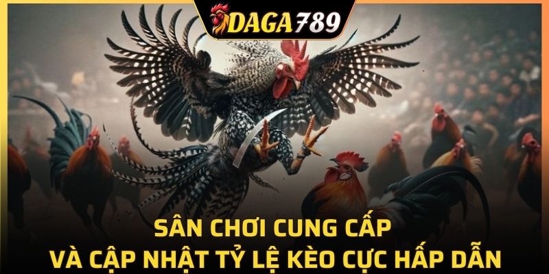 Sân chơi cung cấp và cập nhật tỷ lệ kèo cực hấp dẫn