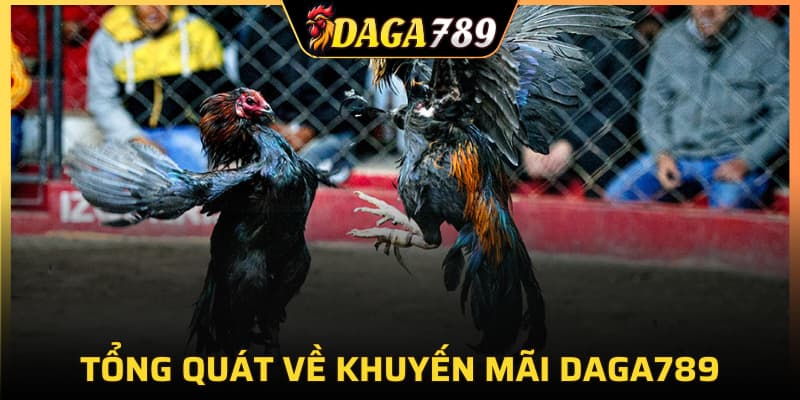 Tổng quát về khuyến mãi DAGA789