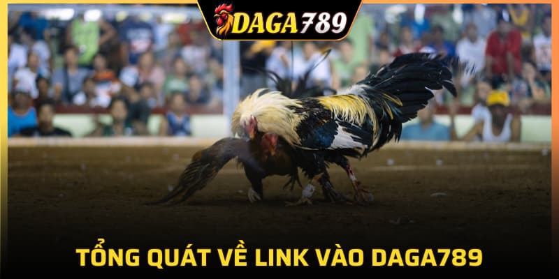 Tổng quát về link vào DAGA789